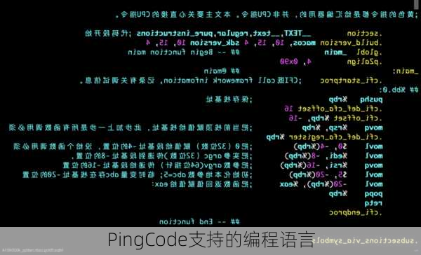 PingCode支持的编程语言