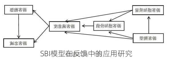 SBI模型在反馈中的应用研究