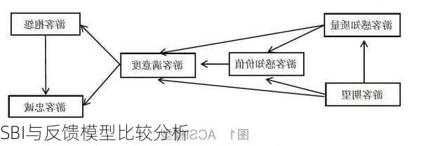 SBI与反馈模型比较分析