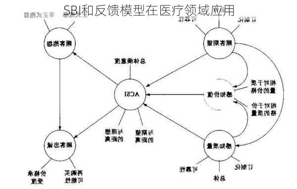 SBI和反馈模型在医疗领域应用