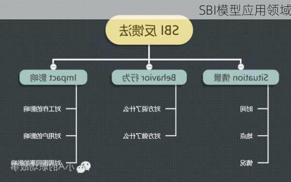 SBI模型应用领域