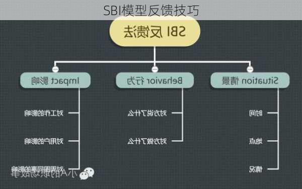 SBI模型反馈技巧