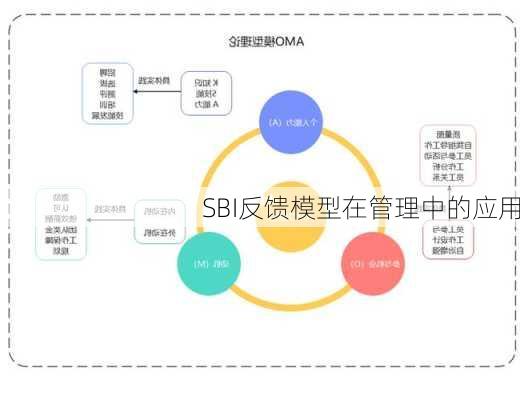 SBI反馈模型在管理中的应用