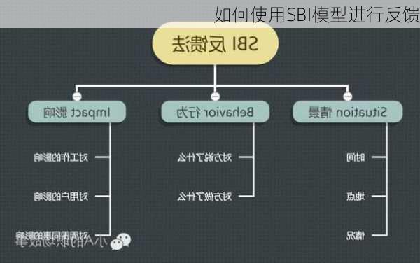 如何使用SBI模型进行反馈