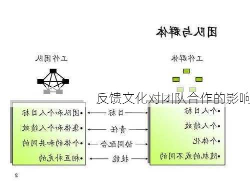 反馈文化对团队合作的影响