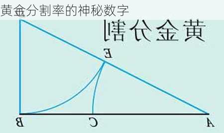 黄金分割率的神秘数字