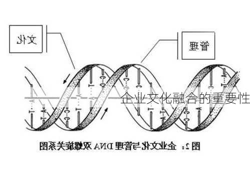 企业文化融合的重要性