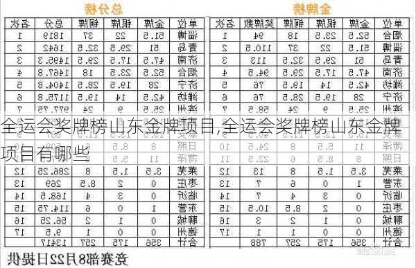 全运会奖牌榜山东金牌项目,全运会奖牌榜山东金牌项目有哪些