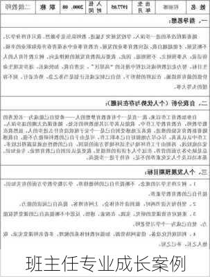 班主任专业成长案例