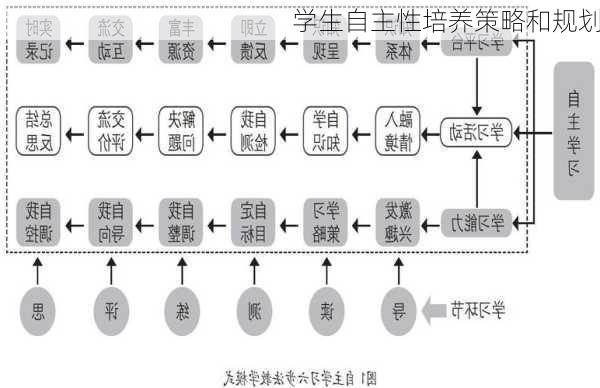 学生自主性培养策略和规划