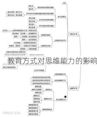 教育方式对思维能力的影响