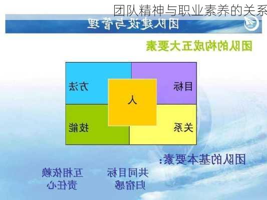 团队精神与职业素养的关系