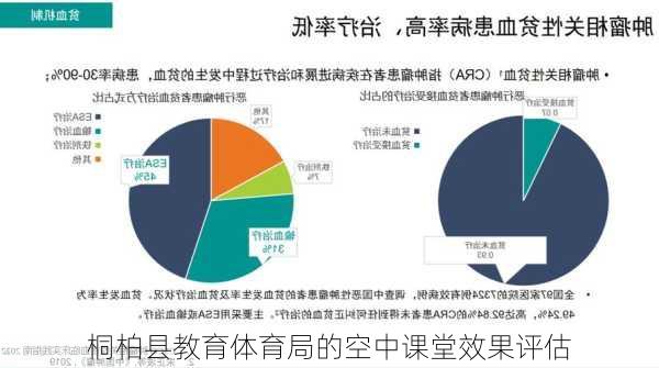 桐柏县教育体育局的空中课堂效果评估