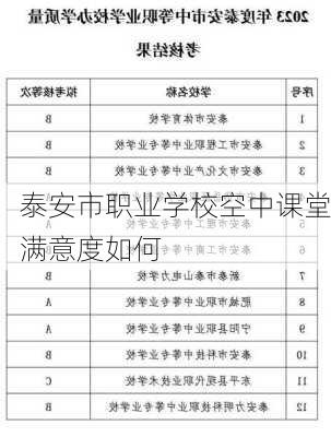 泰安市职业学校空中课堂满意度如何