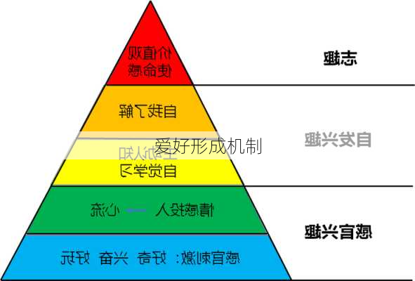 爱好形成机制