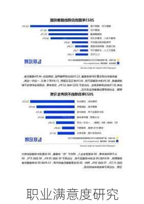 职业满意度研究