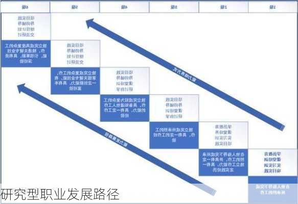 研究型职业发展路径