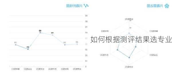 如何根据测评结果选专业