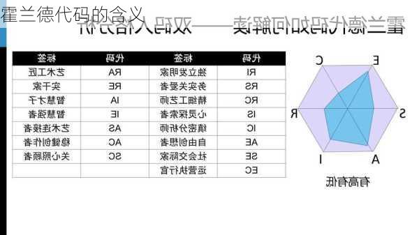 霍兰德代码的含义