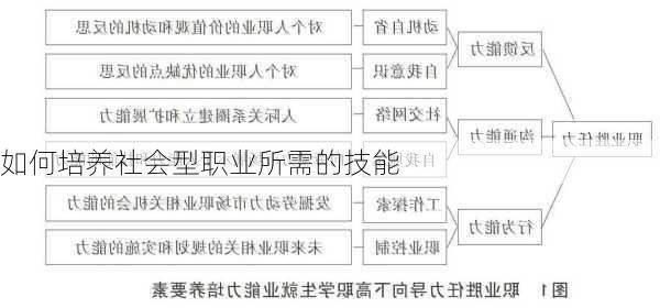 如何培养社会型职业所需的技能