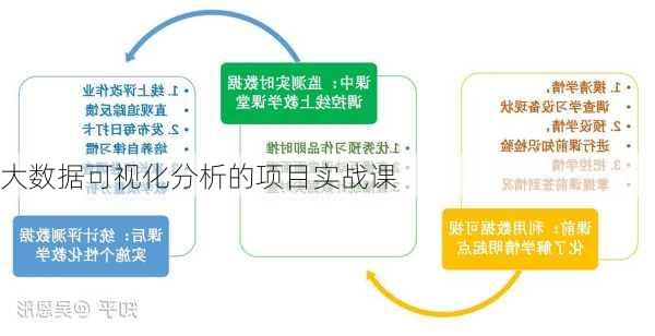 大数据可视化分析的项目实战课