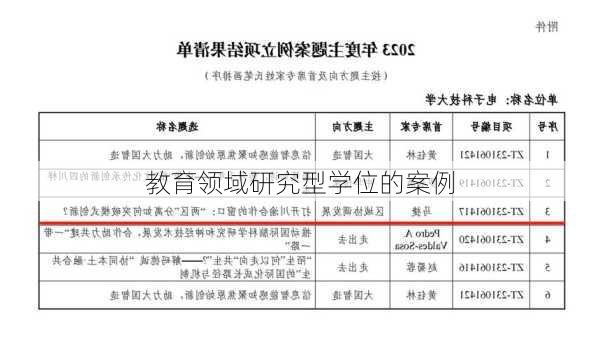 教育领域研究型学位的案例