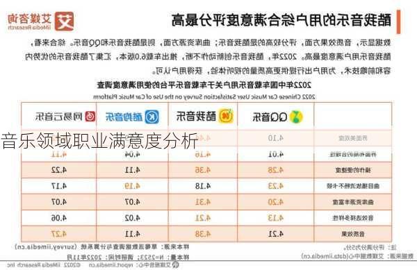 音乐领域职业满意度分析