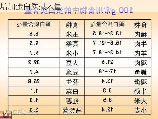 增加蛋白质摄入量