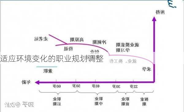 适应环境变化的职业规划调整