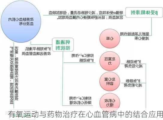 有氧运动与药物治疗在心血管病中的结合应用