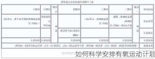 如何科学安排有氧运动计划