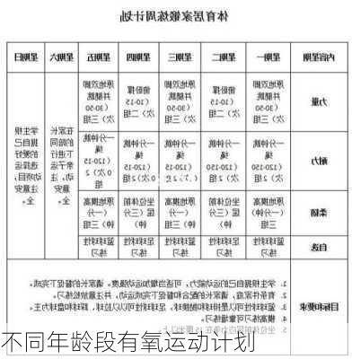 不同年龄段有氧运动计划