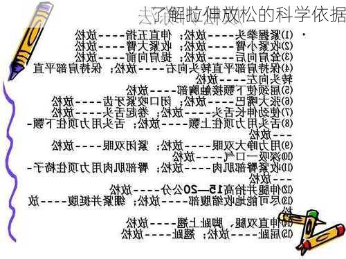 了解拉伸放松的科学依据