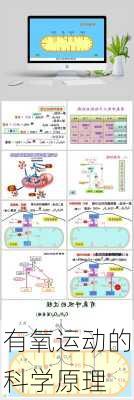 有氧运动的科学原理