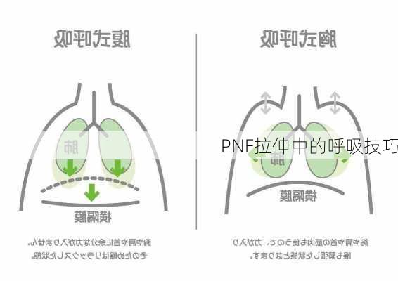 PNF拉伸中的呼吸技巧