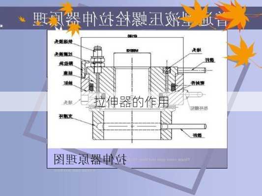 拉伸器的作用