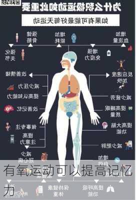 有氧运动可以提高记忆力