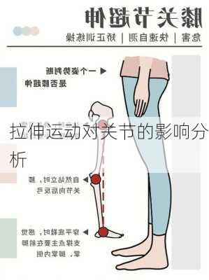 拉伸运动对关节的影响分析