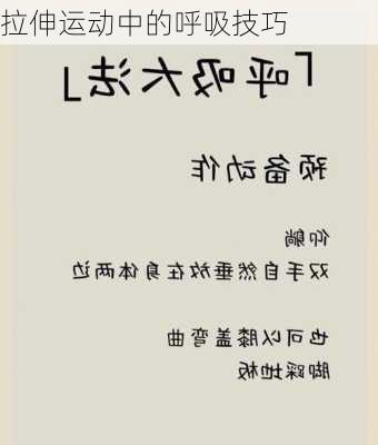 拉伸运动中的呼吸技巧