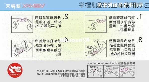 掌握肌酸的正确使用方法