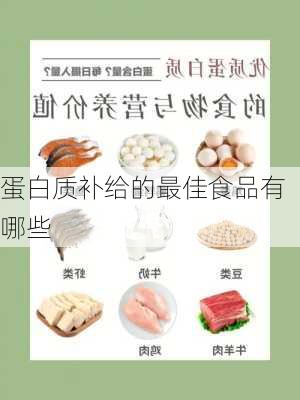 蛋白质补给的最佳食品有哪些