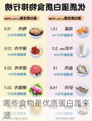 哪些食物是优质蛋白质来源