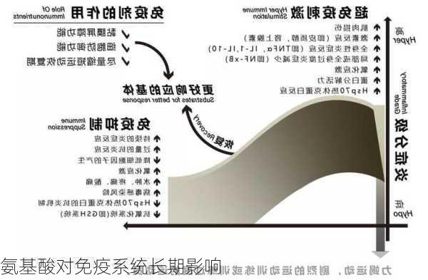 氨基酸对免疫系统长期影响