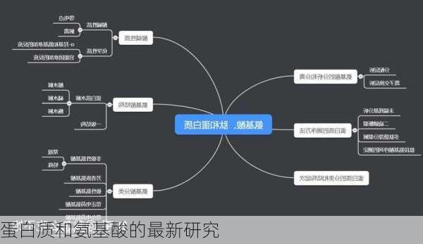 蛋白质和氨基酸的最新研究