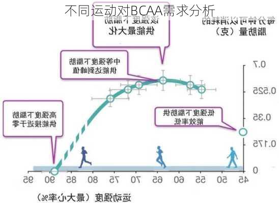 不同运动对BCAA需求分析