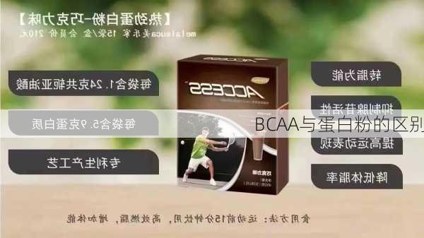 BCAA与蛋白粉的区别