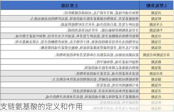 支链氨基酸的定义和作用