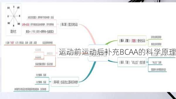 运动前运动后补充BCAA的科学原理