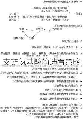 支链氨基酸的选育策略