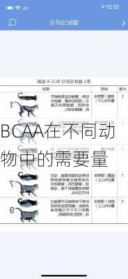 BCAA在不同动物中的需要量